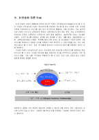 [이미지마케팅] S - Oil(에쓰오일) BI(Brand Identity)와 기업전략 분석-8