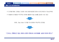 [서비스마케팅]매출증대를 위한 스카이라이프 프로모션 전략(A+리포트)-11