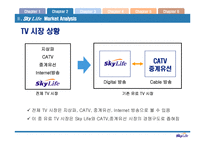 [서비스마케팅]매출증대를 위한 스카이라이프 프로모션 전략(A+리포트)-13