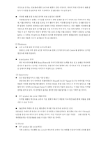 [마케팅] ‘팬택 앤 큐리텔’ 기업분석-9