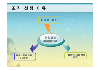 [행정론] 조직문화와 개인역량-5