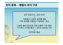 [행정론] 조직문화와 개인역량-7