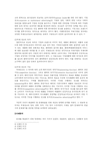 [광고론] 국제광고제작에 있어, 어떤 전략을 사용해야 하는가-4