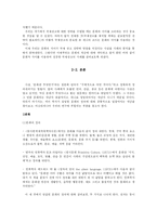 [광고론] 국제광고제작에 있어, 어떤 전략을 사용해야 하는가-8