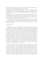 [광고론] 국제광고제작에 있어, 어떤 전략을 사용해야 하는가-9