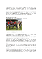 [스포츠마케팅] 여성축구 활성화를 위한 마케팅 전략-16