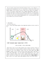 [동아제약 박카스 마케팅 사례분석(A+레포트)] 동아제약 박카스 마케팅 사례분석(A+레포트)-10