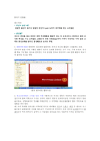 [마케팅] 박지성의 맨체스터 유나이티드 SWOT 분석-8