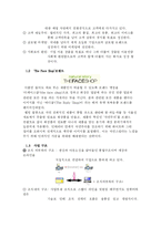 [마케팅] 더 페이스샵(The Face Shop) 분석-2