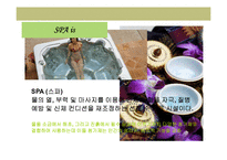 [스파(SPA)] 21세기 유망산업 SPA(스파)-4