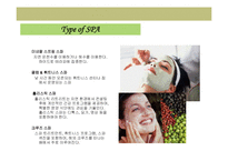 [스파(SPA)] 21세기 유망산업 SPA(스파)-11