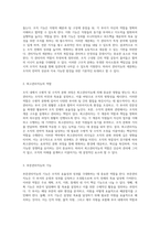 조직 내에서의 수평적 및 수직적 분화 과정에 대한 심층적 탐구-5