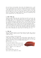 초밥의 세계 레포트-2