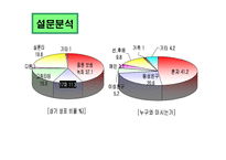 [마케팅전략] 남양유업분석과 17차 마케팅 전략-17