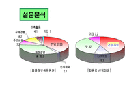 [마케팅전략] 남양유업분석과 17차 마케팅 전략-19