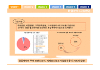 [마케팅전략] 광동제약 비타500 마케팅전략-11