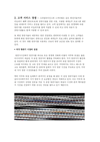 [마케팅전략] 대한항공 마케팅전략-9