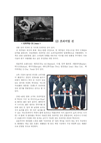 [경영학] 프리미엄 진 분석-7