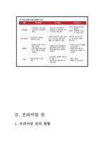 [경영학] 프리미엄 진 분석-9