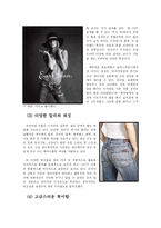 [경영학] 프리미엄 진 분석-17