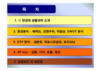 [마케팅] 기업성공사례분석-한경희스팀청소기-2