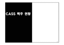 [광고] 카스맥주 CASS NO1 브랜드로의 도약-3