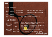 [리스크관리, 위험관리] 휠라(FILA) 사례-18