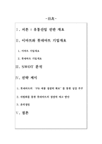 [현대기업] 유통업 롯데마트 전략-2