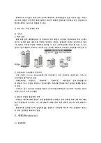 [현대기업] 유통업 롯데마트 전략-14