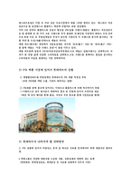[현대기업] 유통업 롯데마트 전략-18