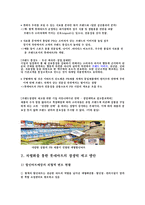 [현대기업] 유통업 롯데마트 전략-20