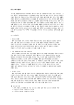 [국제경영] 애니콜의 중국 진출 성공사례-10