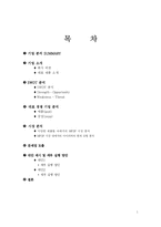 [경영학] 위기의 레인콤 기업 분석-1