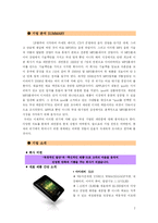[경영학] 위기의 레인콤 기업 분석-2