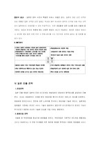 [국제경영] 가상기업 온라인게임업체의 일본진출-7