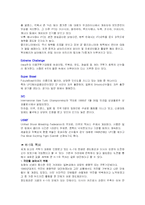 [대중문화의 이해] 이종격투기산업과 격투기의 과거, 현재와 미래-4