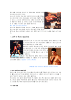 [대중문화의 이해] 이종격투기산업과 격투기의 과거, 현재와 미래-8