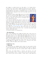 [대중문화의 이해] 이종격투기산업과 격투기의 과거, 현재와 미래-9