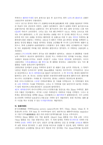 [대중문화의 이해] 영상 매체의 변화-4