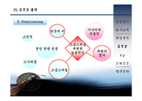[마케팅] 설화수 마케팅 전략 분석(A+레포트)★★★★★-14