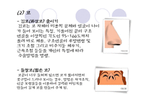 [사회문제] 성형수술 실태 및 문제점(A+레포트)★★★★★-10