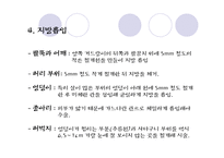 [사회문제] 성형수술 실태 및 문제점(A+레포트)★★★★★-14