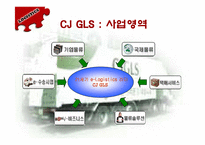 [물류] CAS사의 CJ-GLS를 통한 물류혁신사례 조사 및 분석-17