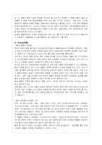 ipod(아이팟)의 성공마케팅 전략과 향후전망(A+자료)-11