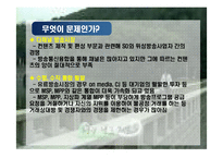 [매스커뮤니케이션] 케이블 TV와 위성 방송 간의 경쟁 -PAR 도입 논의를 중심으로-2