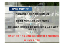 [매스커뮤니케이션] 케이블 TV와 위성 방송 간의 경쟁 -PAR 도입 논의를 중심으로-3