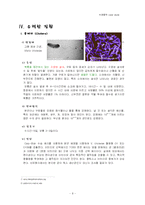[미생물학] 이질-8