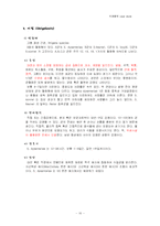 [미생물학] 이질-10