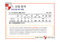 [스포츠마케팅] 부산 아이파크 재포지셔닝 방안-6