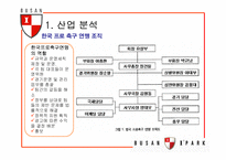 [스포츠마케팅] 부산 아이파크 재포지셔닝 방안-7